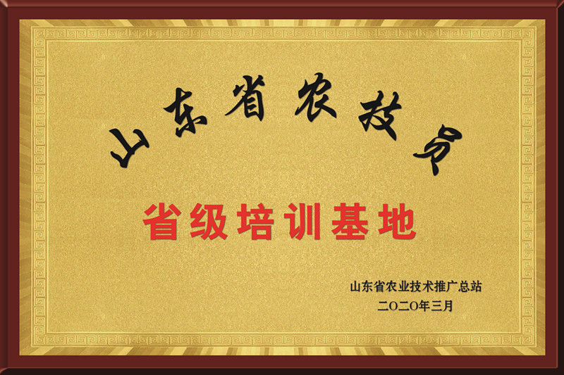 ũ��ʡ����ѵ����