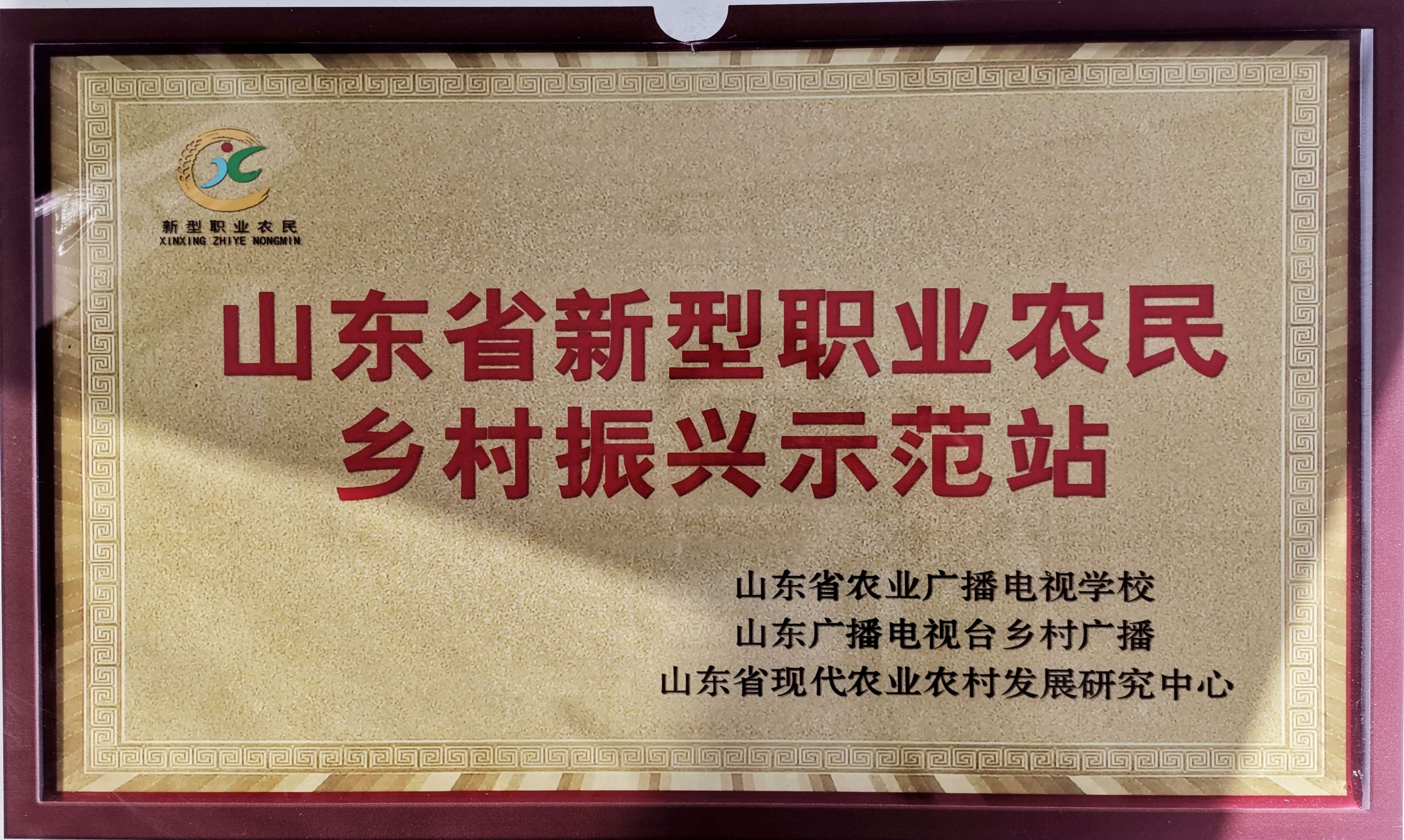 �������ʾ��վ