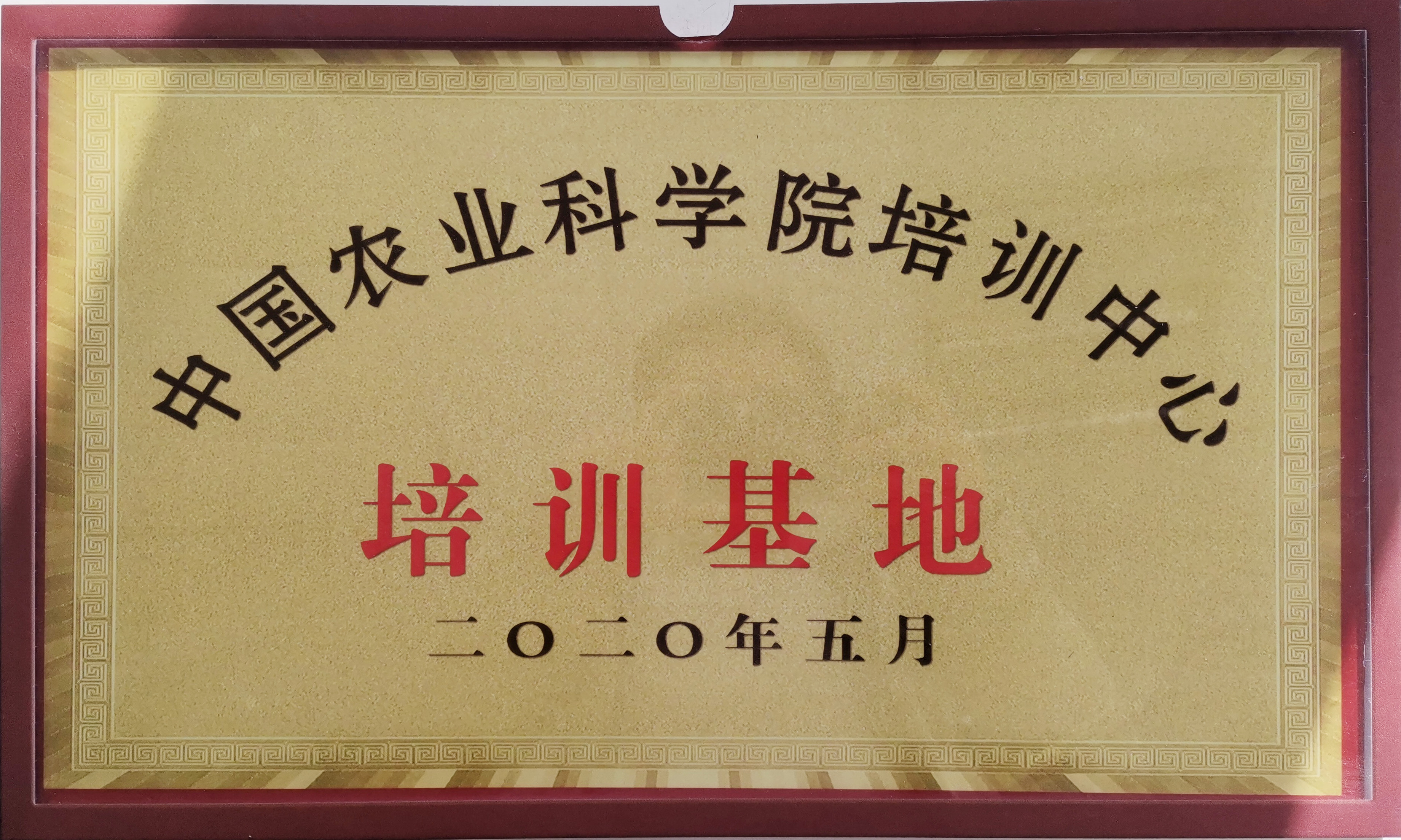 ��ѵ����