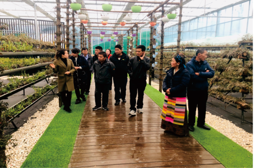 ʵʩ�����������ѵ