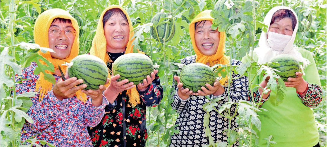 ��֯����ҵ������ѵ